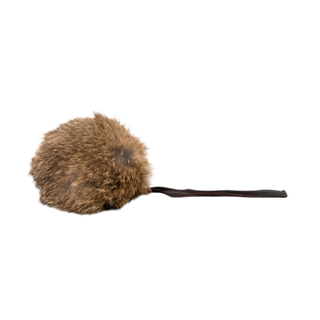 Gloria | Rogers Presa para gatos