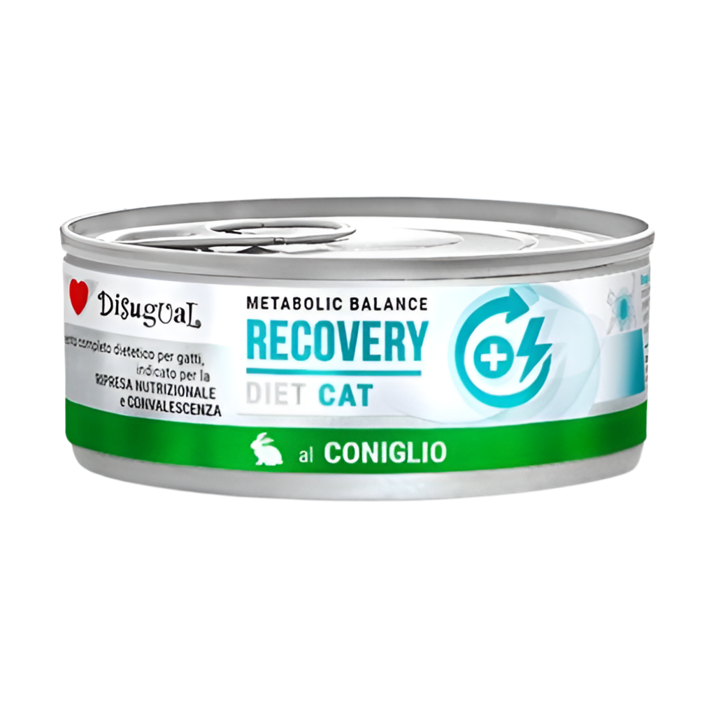Disugual | Recovery Conejo (12x85g)