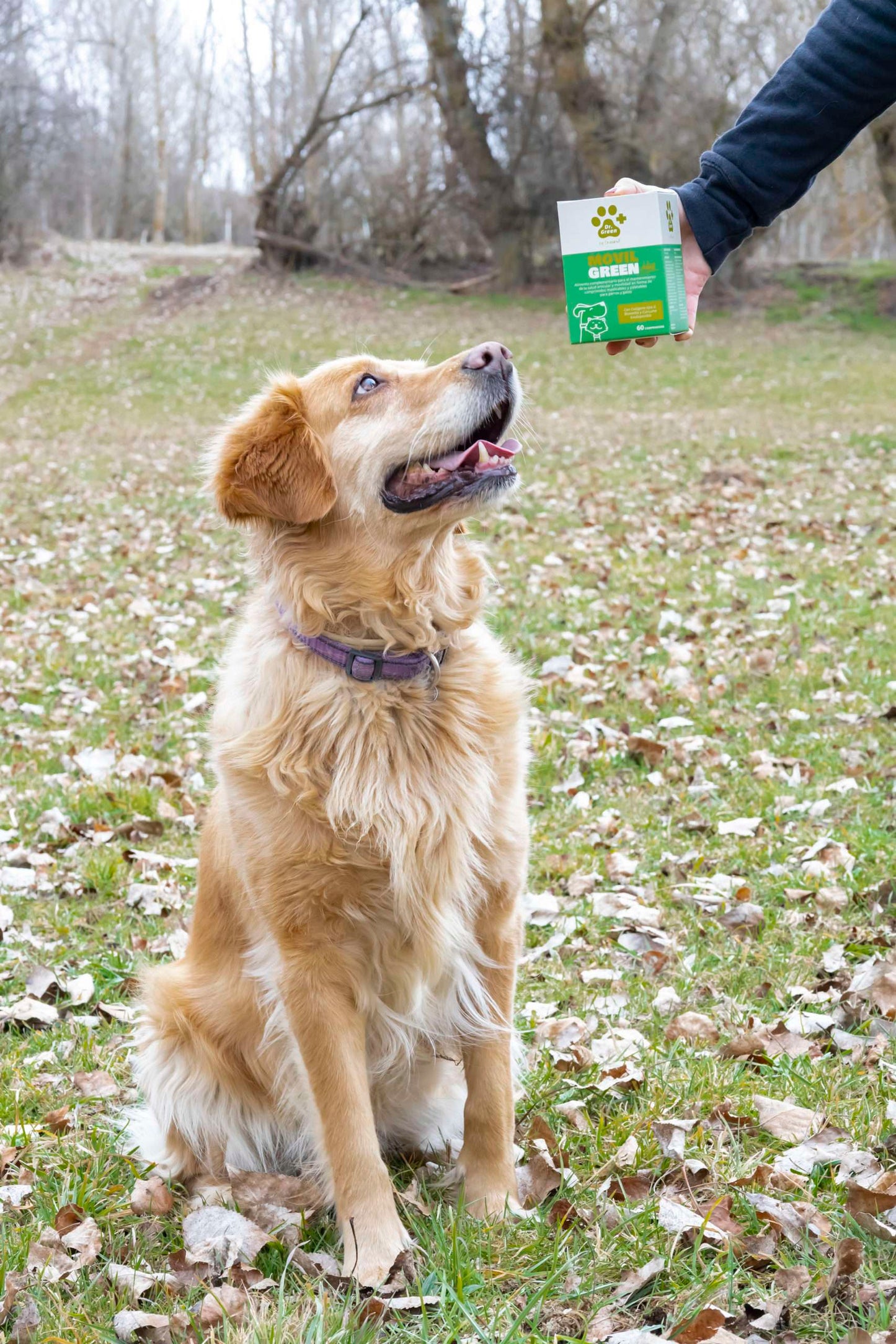 Movilgreen_Plus_Dr._Green_comprimidos_para_el_cuidado_articular_en_perros