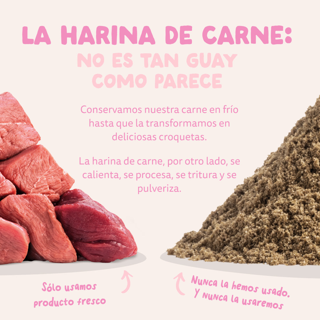 pienso cachorro natural frutas verduras