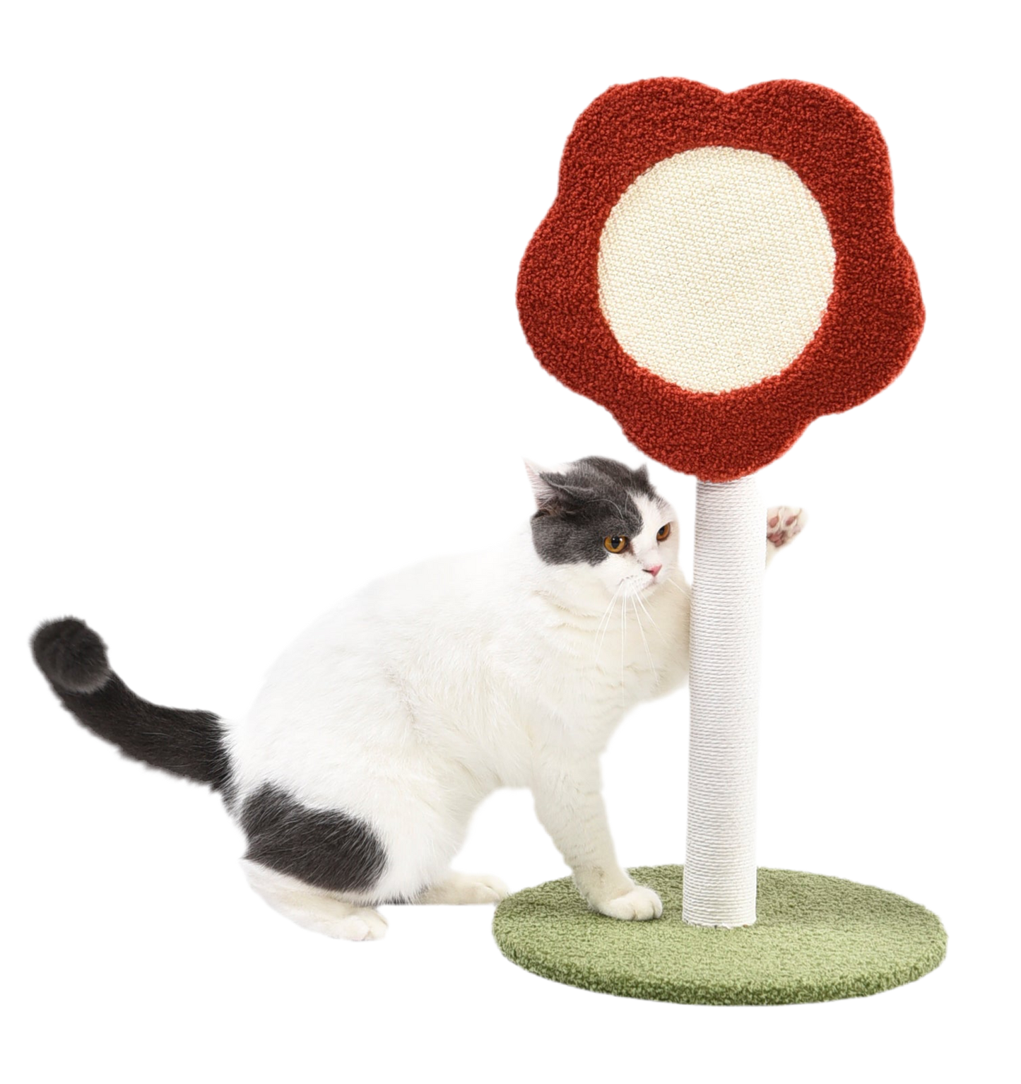 Rascador Tronco Flor – 35 x 35 x 69,5 cm 🌸🐾