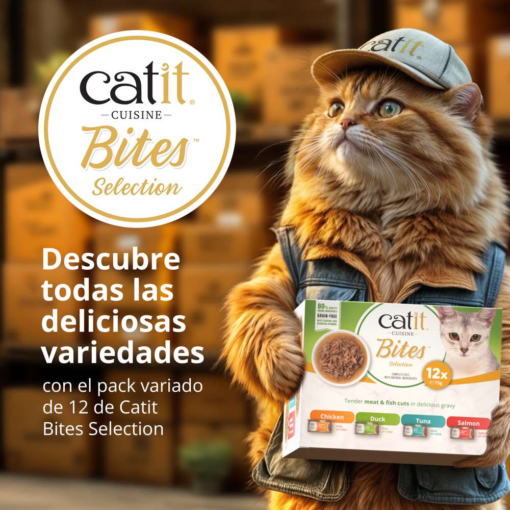 Catit Cuisine Bites guía de transición alimentaria paso a paso
