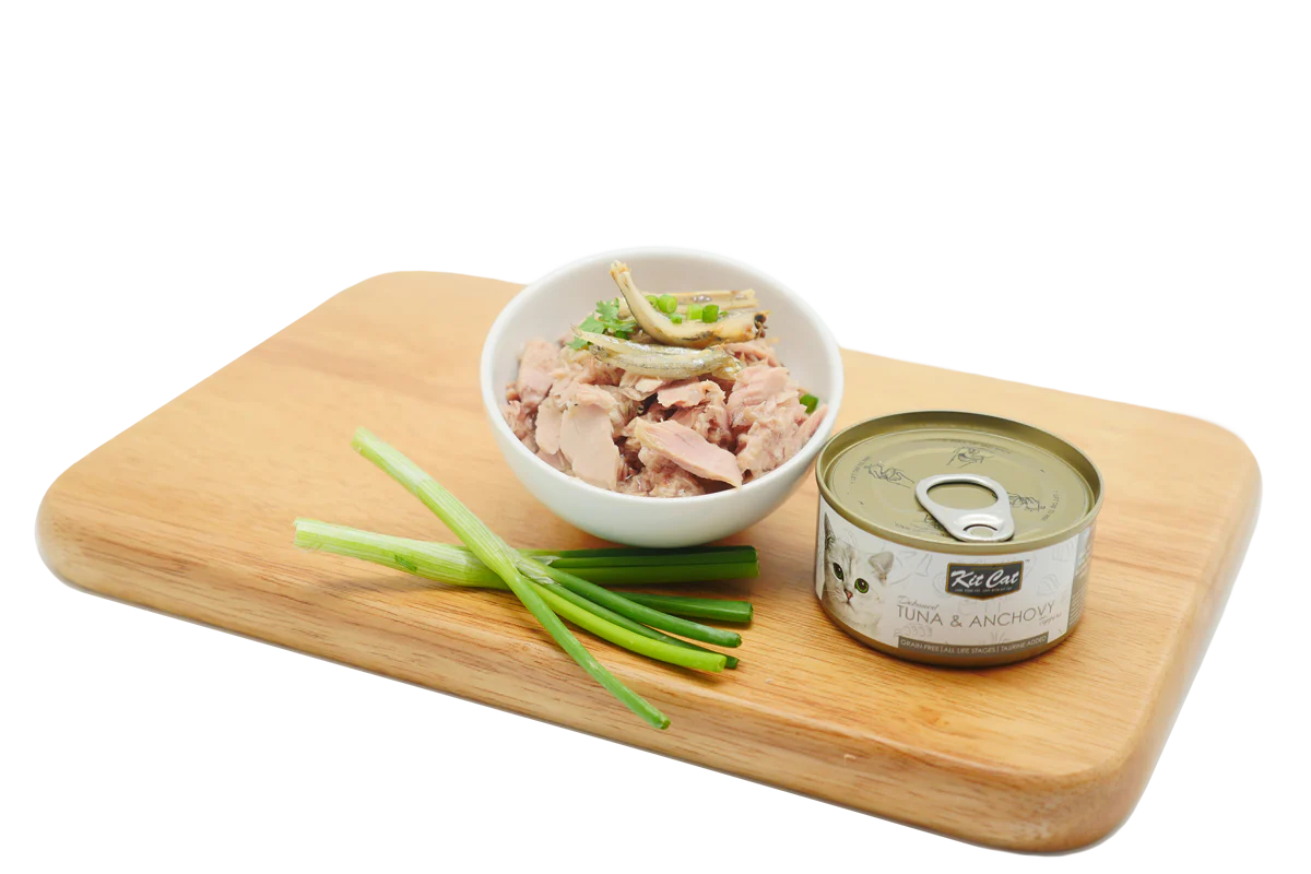 Comida húmeda Kit Cat con atún bonito y anchoas