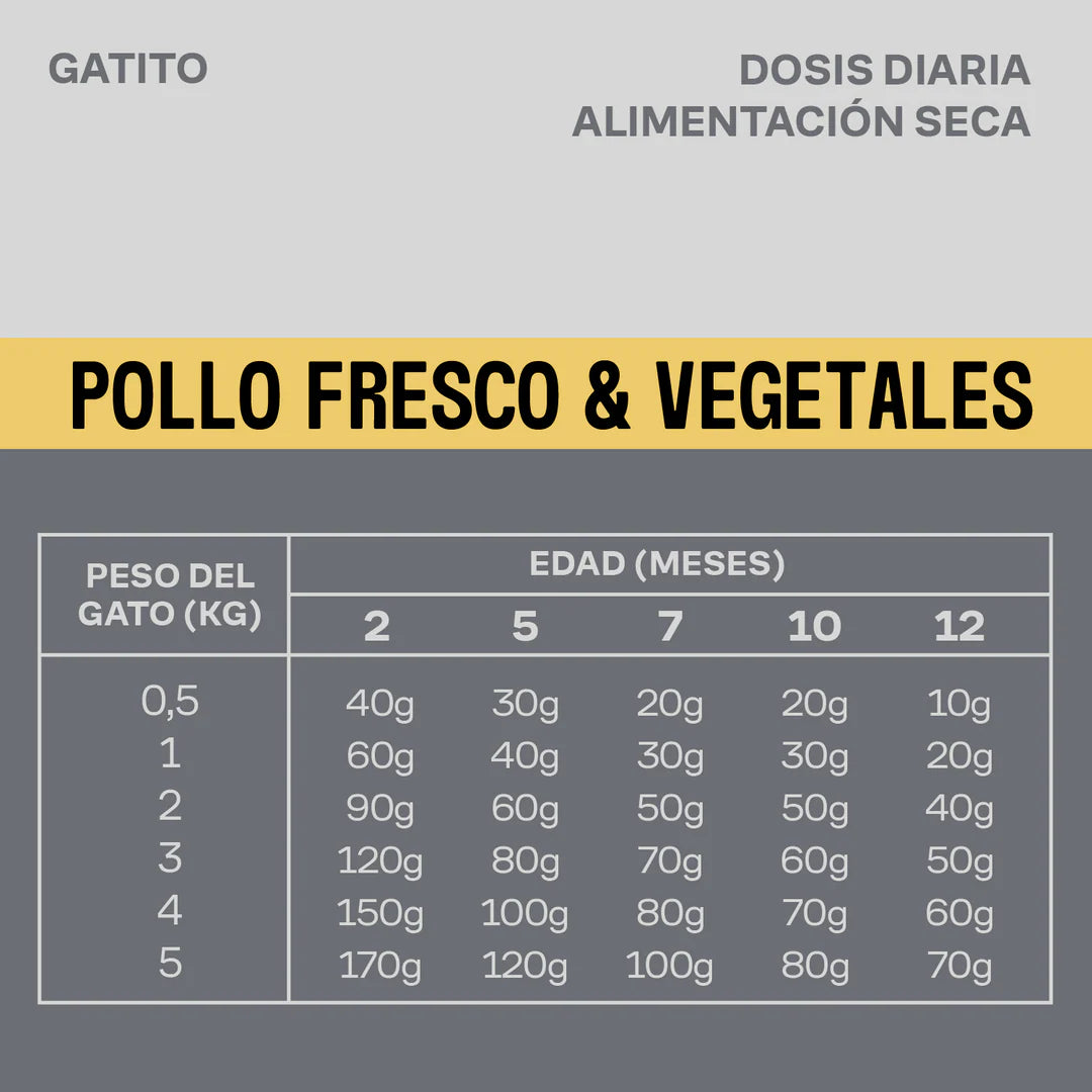 Comida para gatitos rica en proteínas de pollo