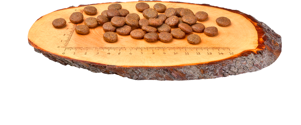 Croquetas Carnilove de carpa y trucha para perros con piel sensible y pelo brillante