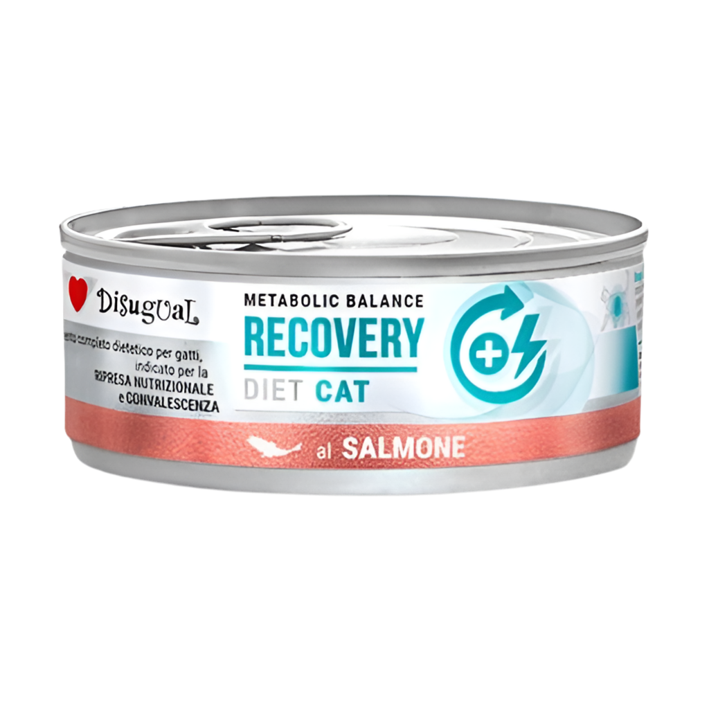 Disugual | Recovery Salmón (12x85g)