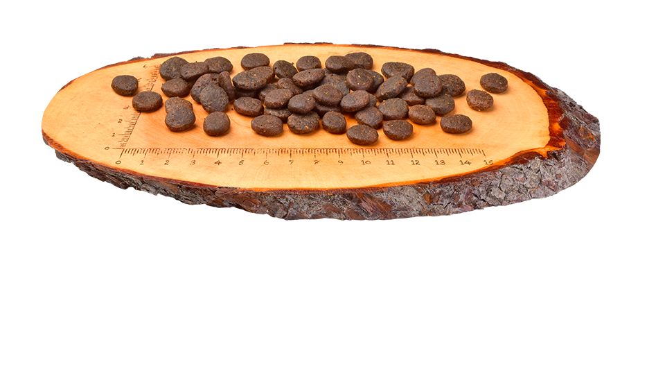 Detalle del pienso Carnilove pollo y conejo para músculos y articulaciones