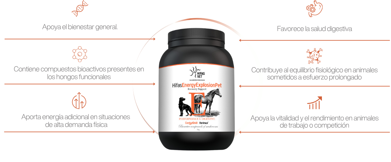 HIFAS Energy Explosion Pet | Complemento energético para perros activos