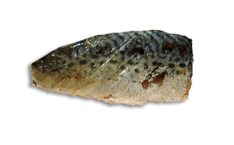 Kit Cat | FilletFresh - Caballa a la parrilla (30g)