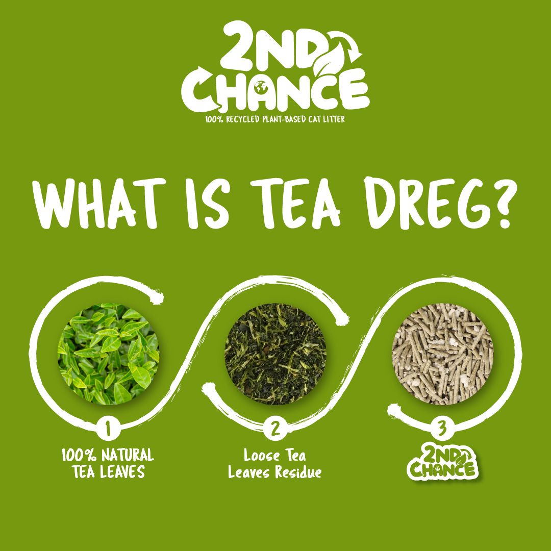 Kit Cat | Arena 2nd Chance - Hojas de Té Verde, Guisante y Yuca