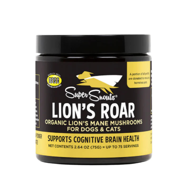 Firm Up! | Lion's Roar - Hongo Melena de León 75g