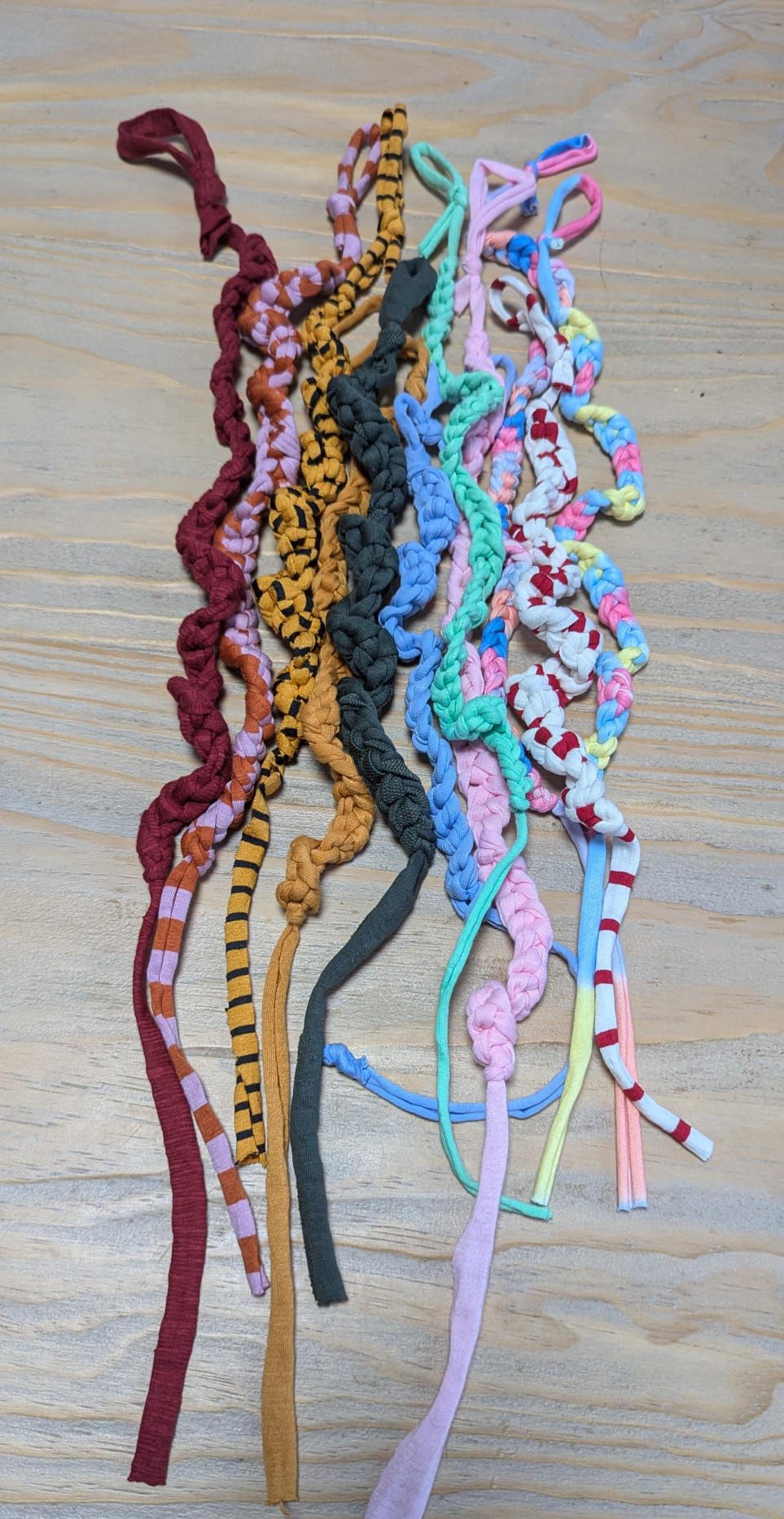 GSH Villalba | Trenzas locas - ¡Divierte a tu gato de la manera más solidaria!