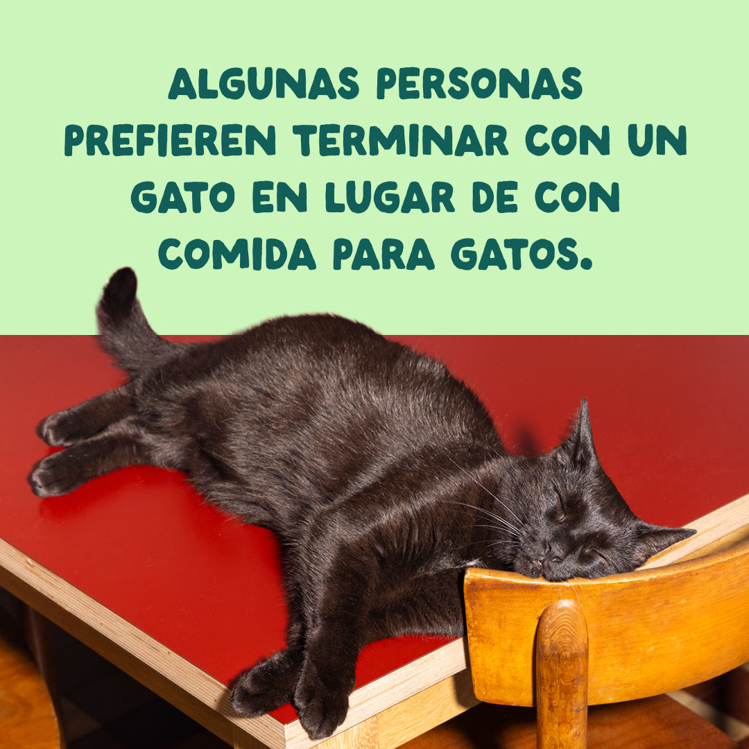 alimentacion complementaria gatos pescado