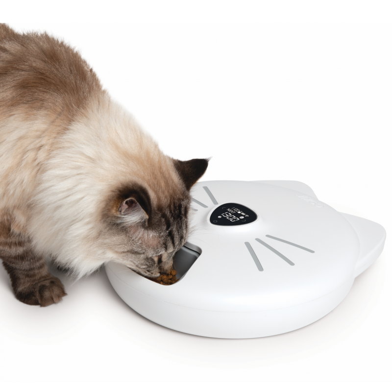 Catit | Comedero Inteligente 6 Raciones PIXI con Bandeja de Acero Inoxidable