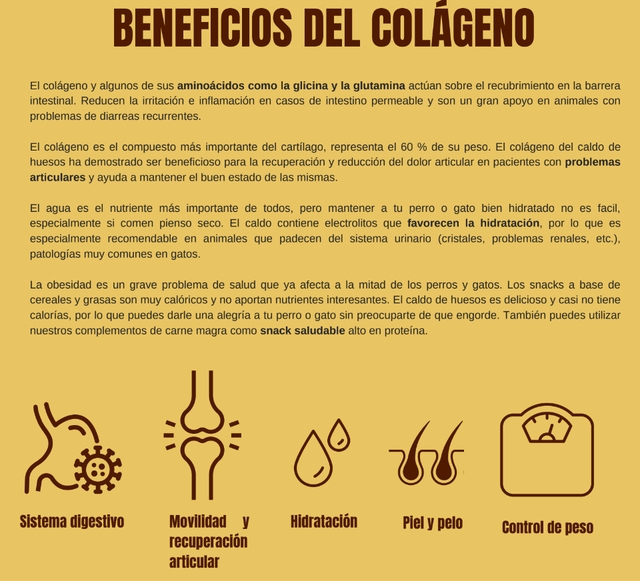 Weso Falda de Ternera en Caldo de Huesos Gato y Perro