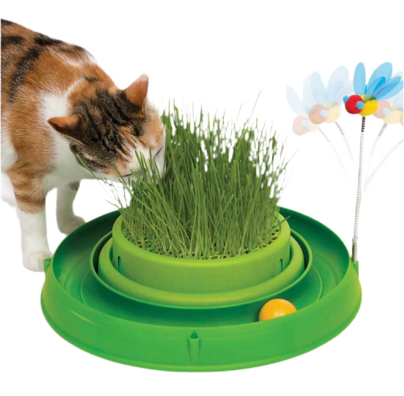 juguete para gatos catit circuit ball con hierba gatera