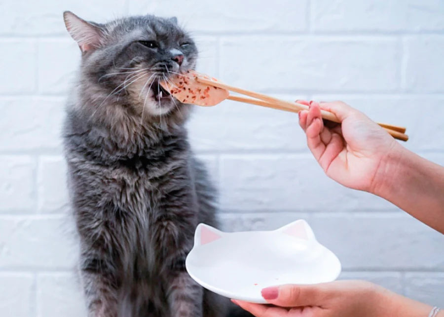 Kit Cat | Fillet Fresh - Lomo de Atún y Fibra (Anti hairball)