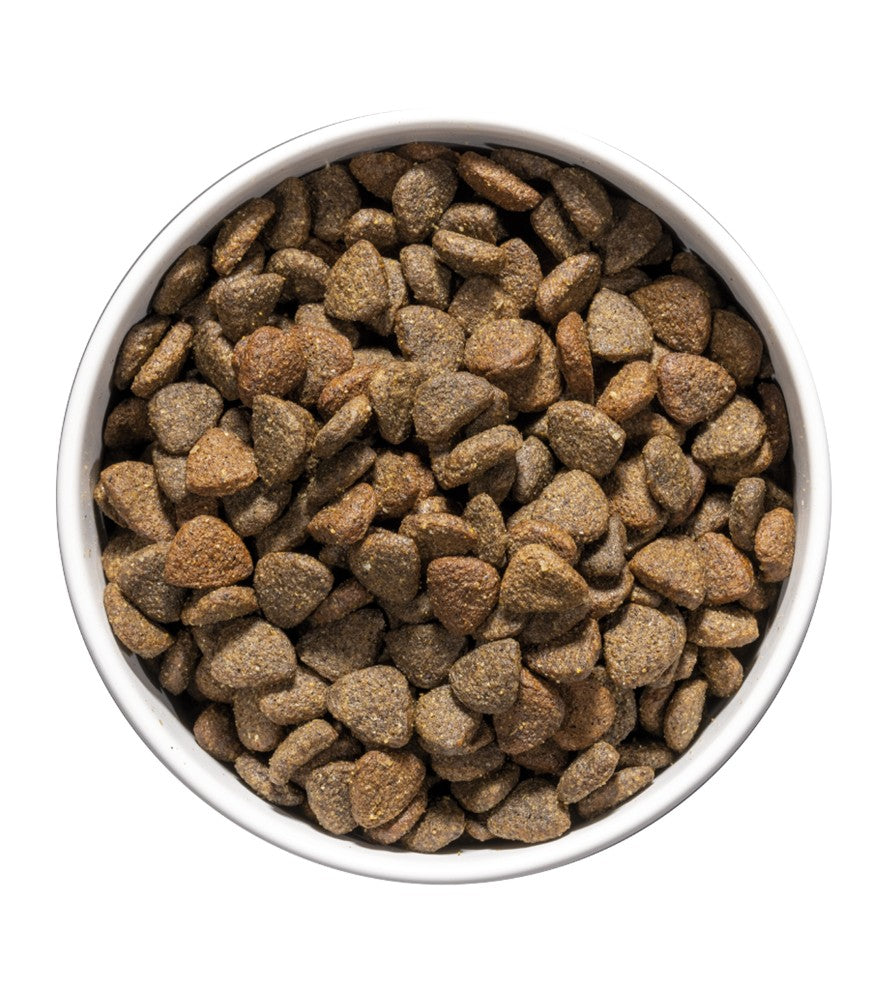 OWNAT | Care Mobility