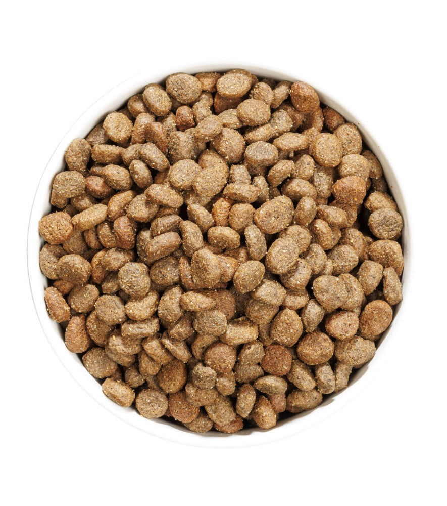 OWNAT | GF Hypo Mini Cordero