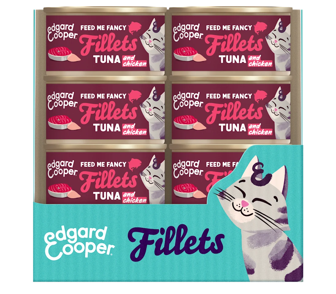 pack 24 latas filetes atun pollo gatos edgard cooper
