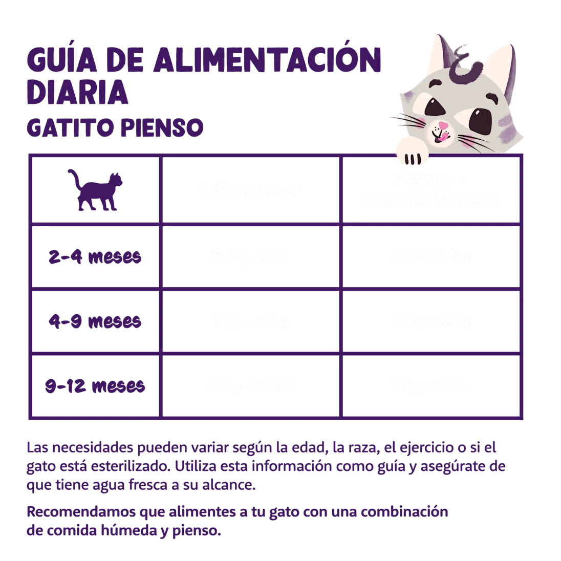 pienso gatitos con omega y glucosamina detalle