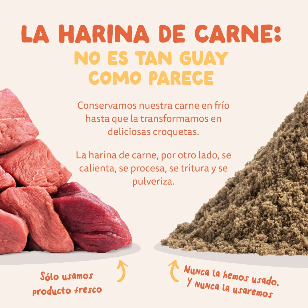 saco pienso perro con arandanos y manzana pollo