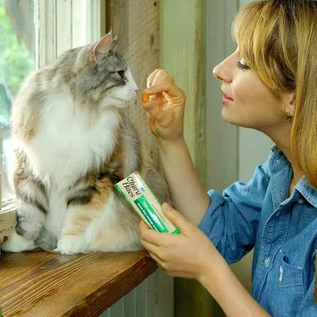 INABA | Churu Bites Pollo para Gatos (3x10g)