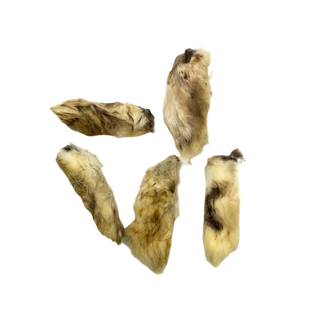 snack perros patas conejo natural crujiente detalle