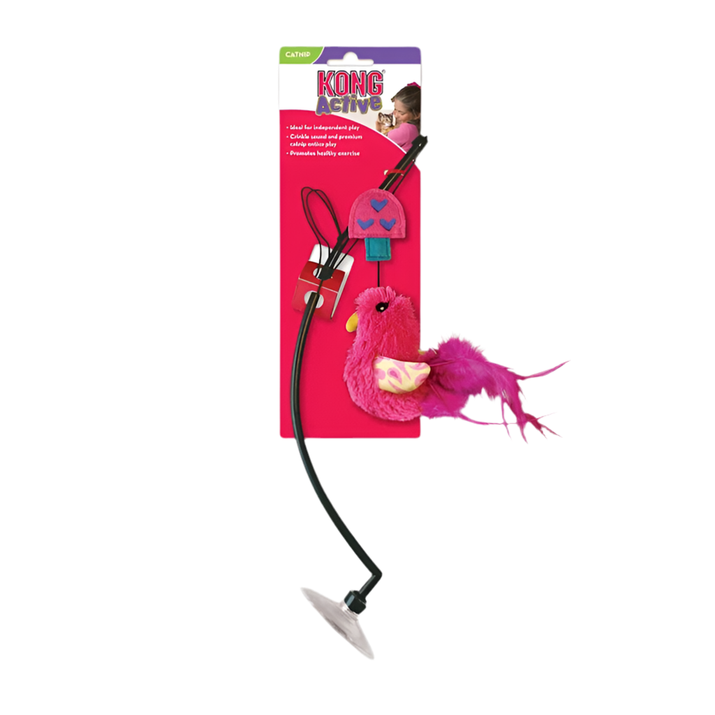 Kong | Window teaser para gatos