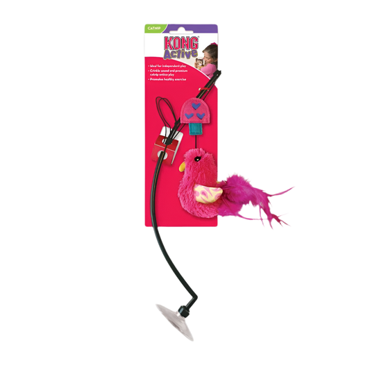 Kong | Window teaser para gatos