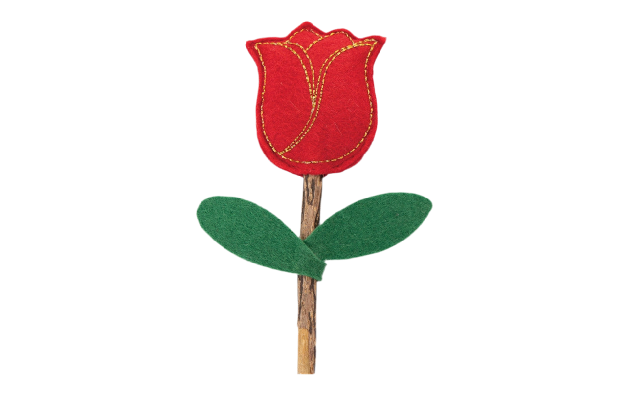 🌹 Rosa Matatabi con Catnip