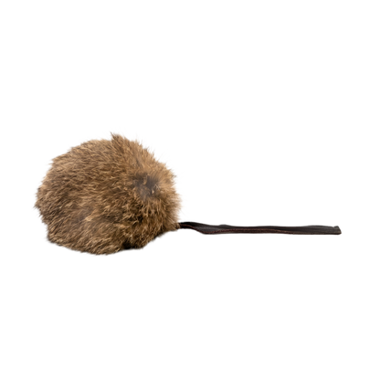 Gloria | Rogers Presa para gatos