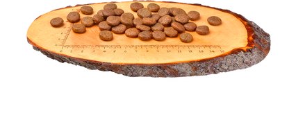 Pienso Carnilove Avestruz y Cordero 6 kg sin cereales para perros adultos de razas pequeñas