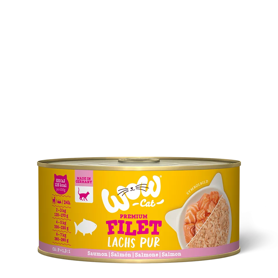 Wow | Cat Filetes de Salmón (70g)