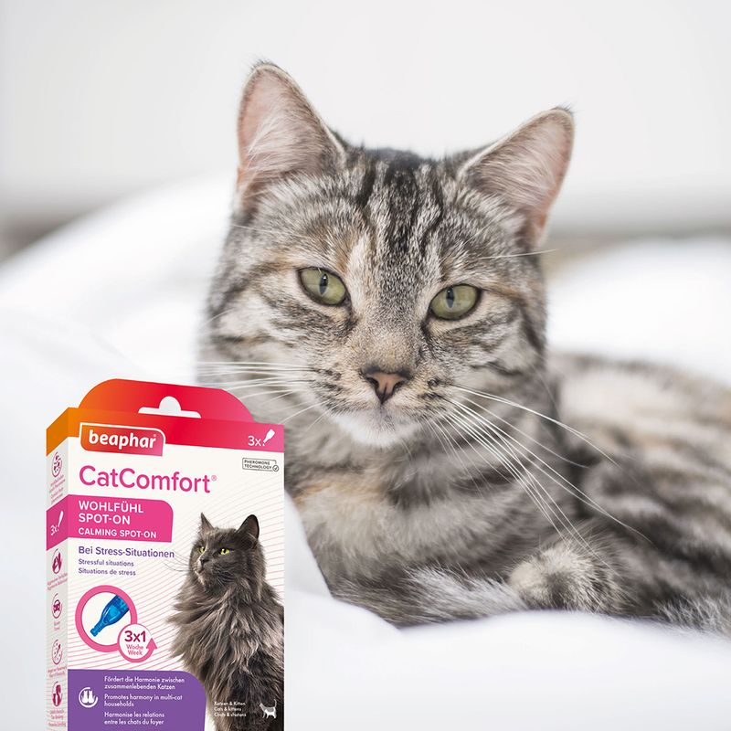 Beaphar | CatComfort Spot-On pipeta antiestrés para gatos