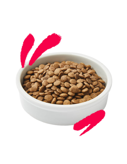 Edgard & Cooper | Senior - Pollo y pavo con arándanos y salvia (2kg)