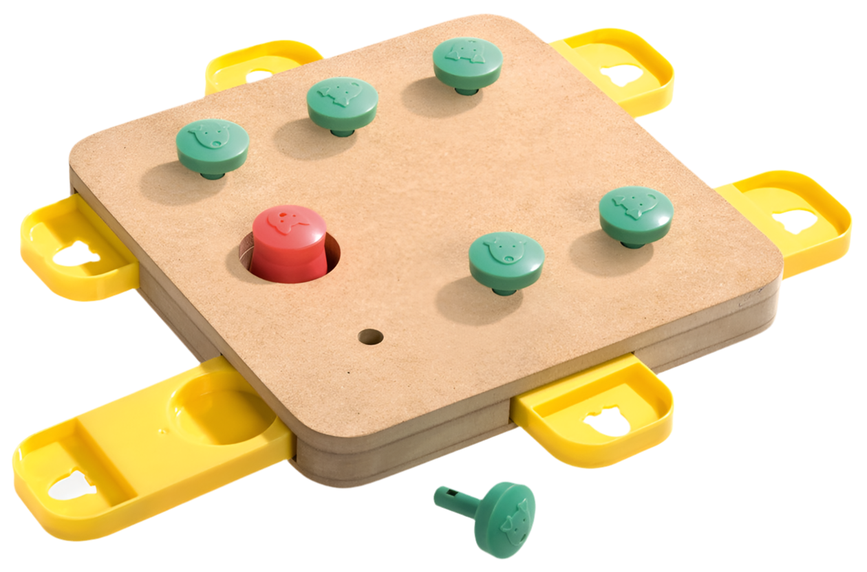 Karlie | Juguete de Inteligencia Cube para Perros y Gatos