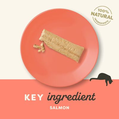 Applaws Filete de Salmón 100 % natural para gatos, snack 30g