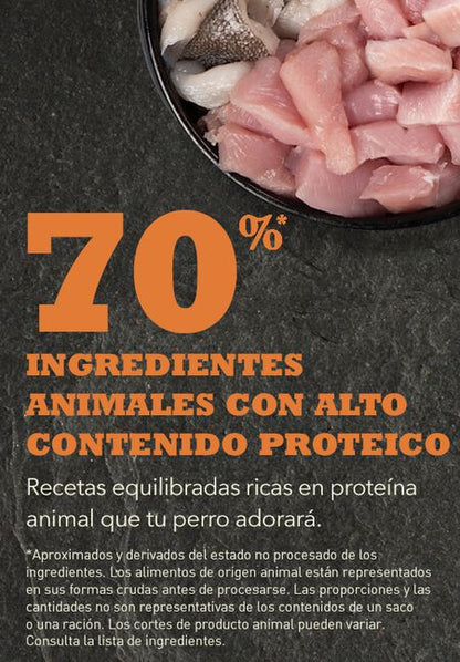 Pienso ACANA Puppy Large Breed para cachorros de razas grandes sin cereales