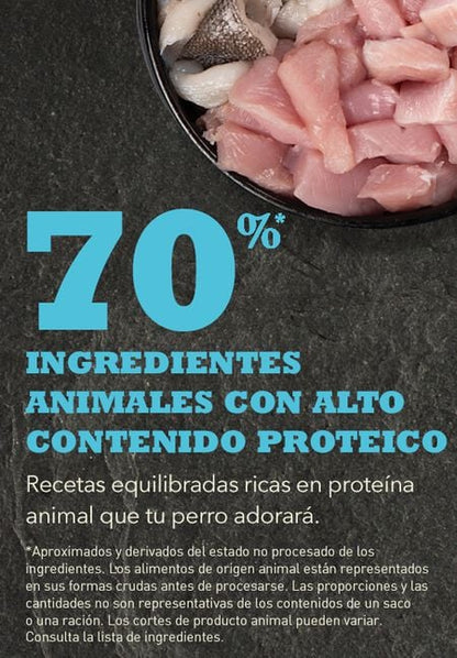 Pienso ACANA Puppy Small Breed para cachorros de razas pequeñas sin cereales