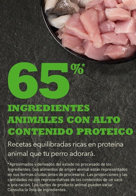 Pienso ACANA Senior para perros mayores sin cereales desarrollo saludable