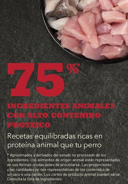 Pienso ACANA Sport & Agility para perros activos sin cereales energía y masa muscular