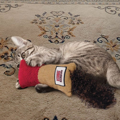 KONG | Kickeroo fuselée