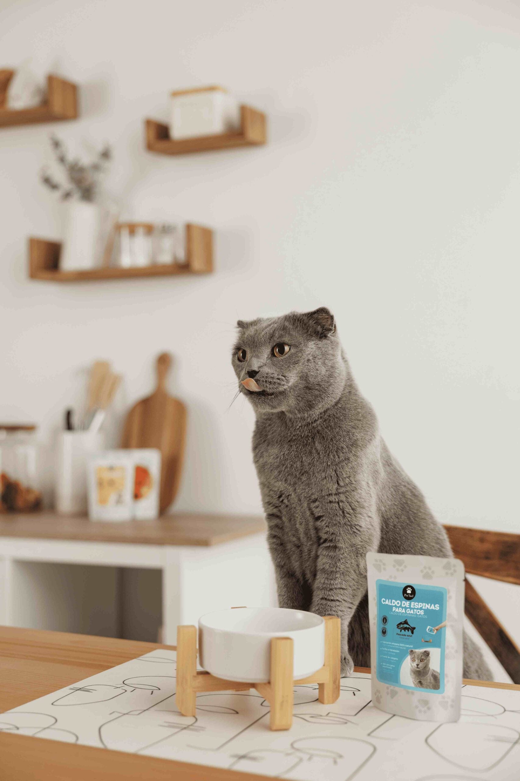 Caldo de pescado nórdico Petbel para gatos, rico en omega-3 y colágeno natural.