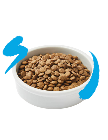 Edgard & Cooper | Salmón con Arándanos