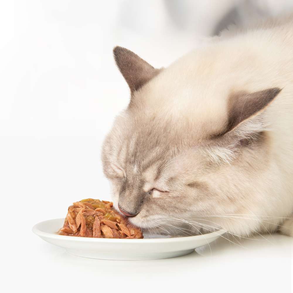 Catit | Cuisine Dinner Pack (12x75g)