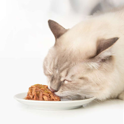 Catit | Cuisine Dinner Pack (12x75g)