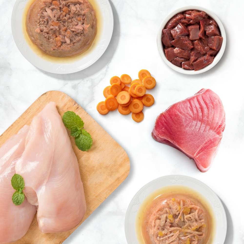 Catit | Cuisine Dinner Pack (12x75g)