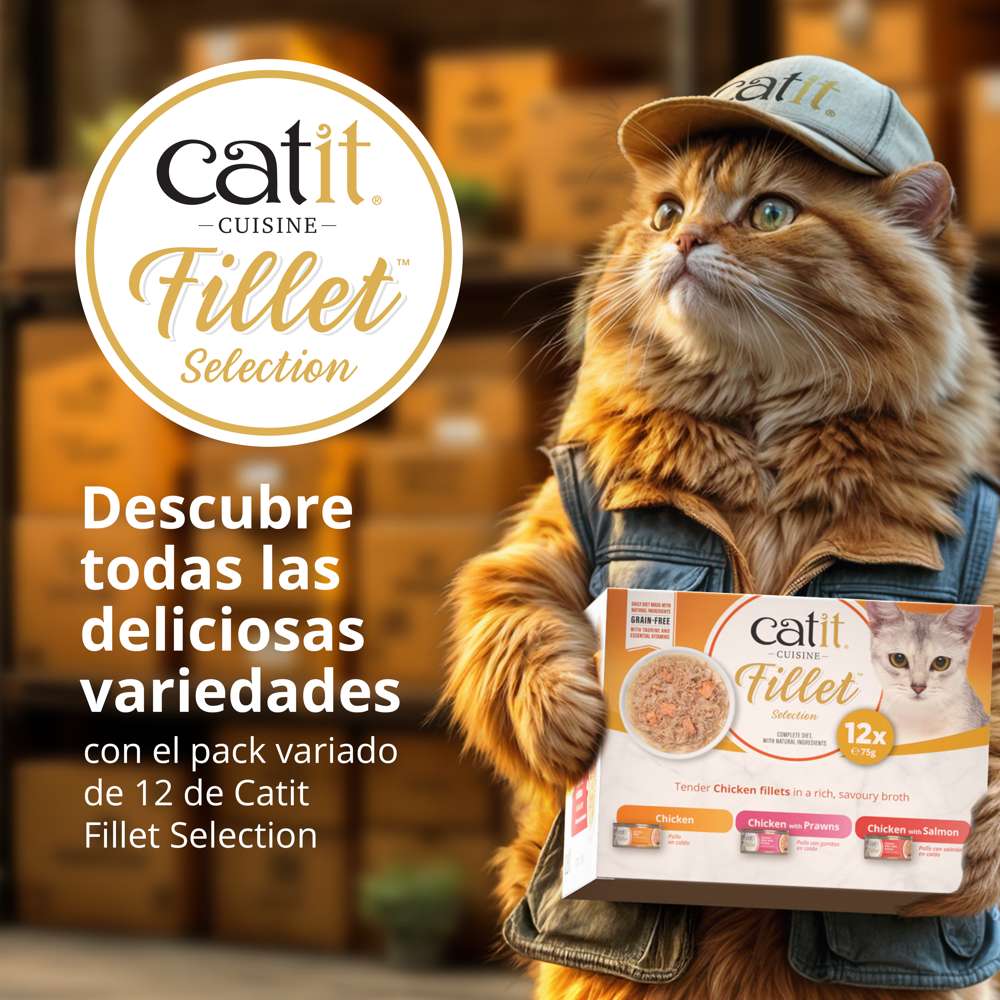 Catit | Cuisine Fillet Pack (12x75g)
