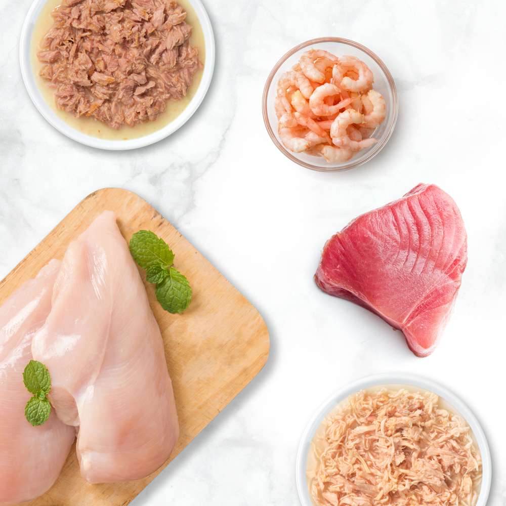 Catit | Cuisine Fillet - Atún (75g)